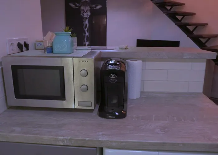 Sophie's Appartement